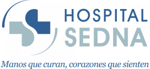 LogoSedna